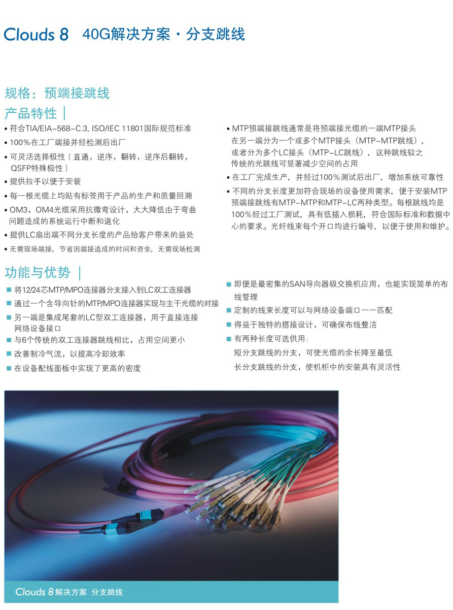 阶梯型分支跳线