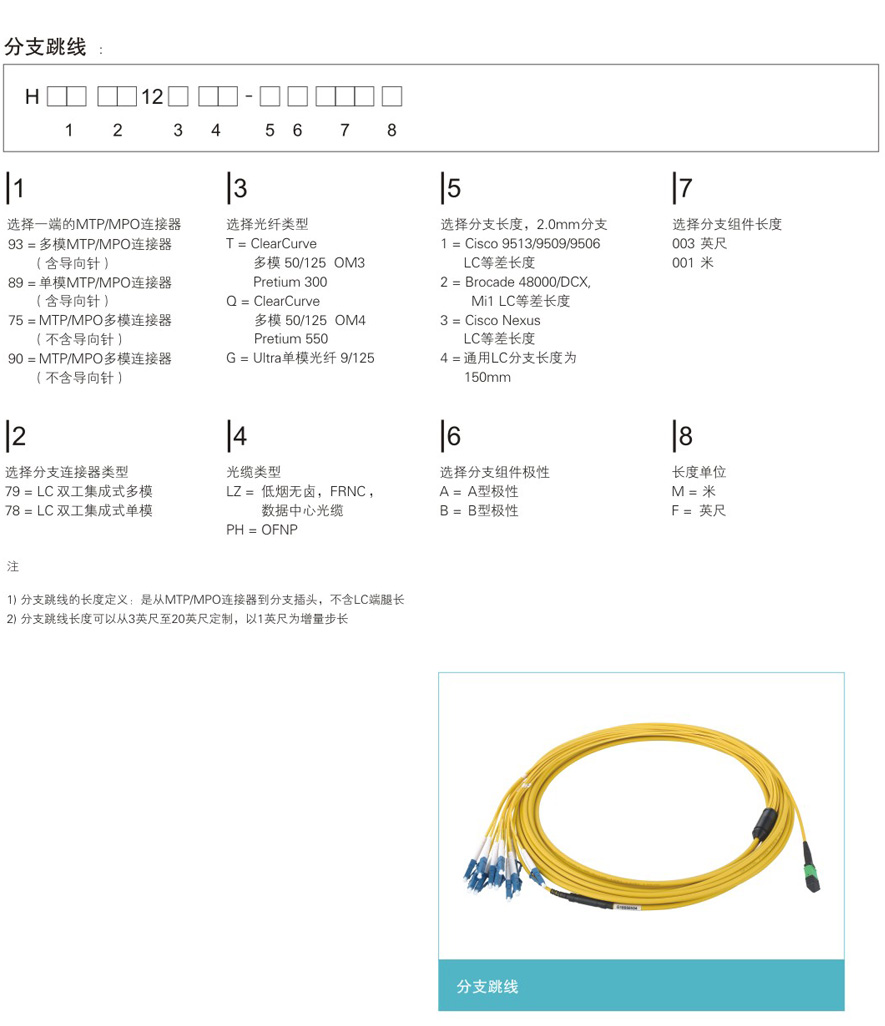 阶梯型分支跳线